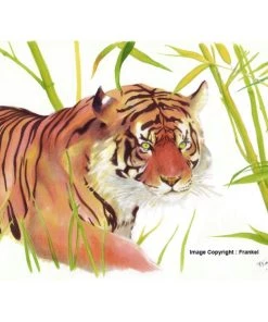 Remise ✨ Feutre à Alcool Coffret Marqueurs Graph'it Brush & Extra Fine - Essential - 36 Pcs ❤️ -Scrapbooking Soldes unnamed file 249