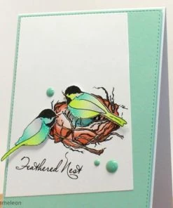 Meilleur prix 🔥 Marqueur Chameleon Coffret Marqueurs Chameleon - Nature Tones - 5 Feutres 🔔 -Scrapbooking Soldes unnamed file 508